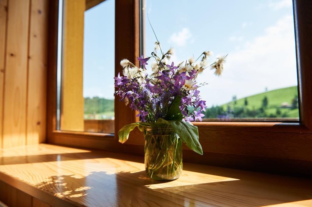 Panskyi Kut Villa Boekovel Buitenkant foto